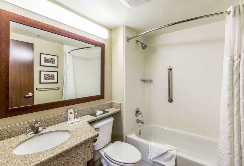 ホテル Comfort Inn Medfordlong Island