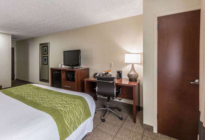 ホテル Comfort Inn Medfordlong Island