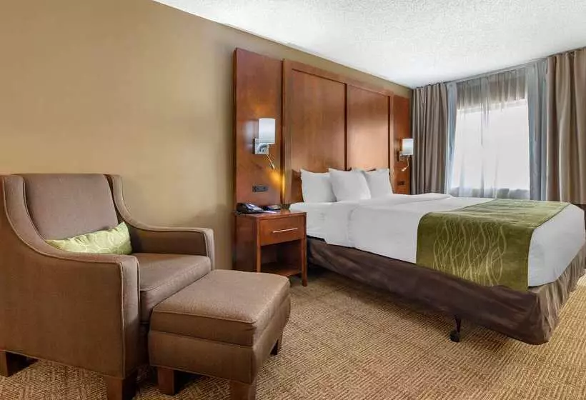 Отель Comfort Inn Romeoville Bolingbrook