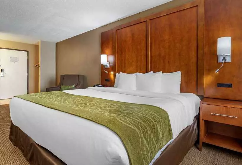 Отель Comfort Inn Romeoville Bolingbrook