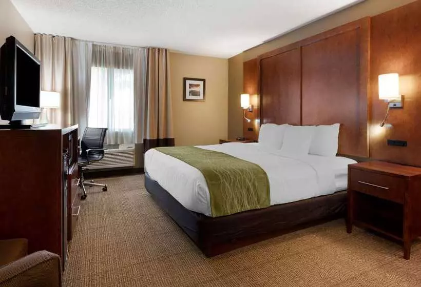Отель Comfort Inn Romeoville Bolingbrook