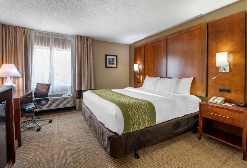 فندق Comfort Inn Romeoville  Bolingbrook