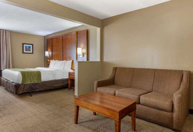 فندق Comfort Inn Romeoville  Bolingbrook
