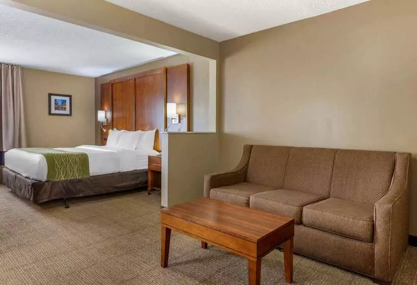 Отель Comfort Inn Romeoville Bolingbrook