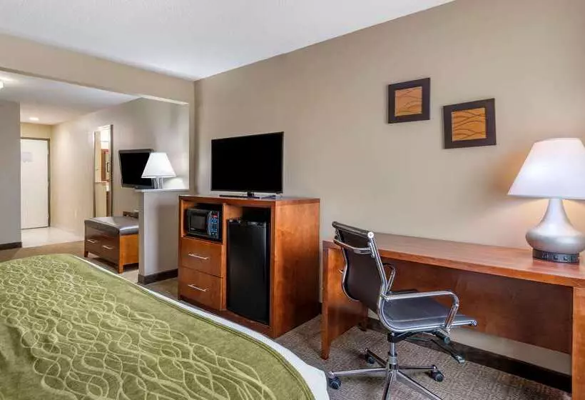 Отель Comfort Inn Romeoville Bolingbrook