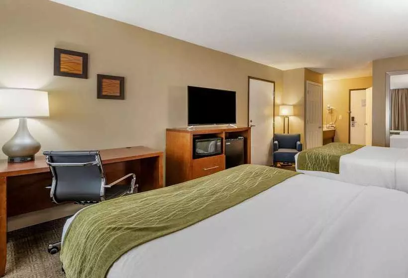Отель Comfort Inn Romeoville Bolingbrook