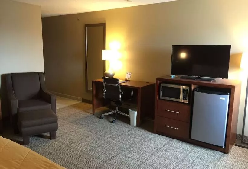 Отель Comfort Inn Romeoville Bolingbrook