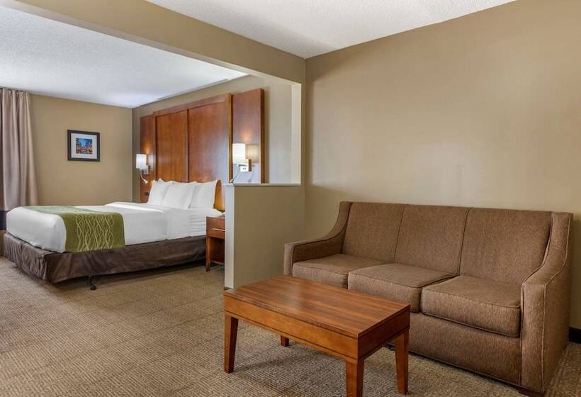 فندق Comfort Inn Romeoville  Bolingbrook