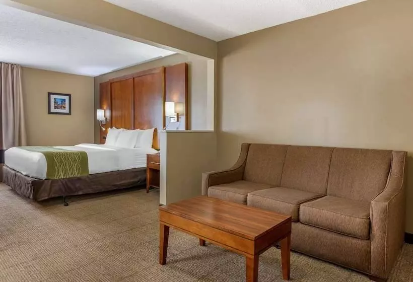 Отель Comfort Inn Romeoville Bolingbrook