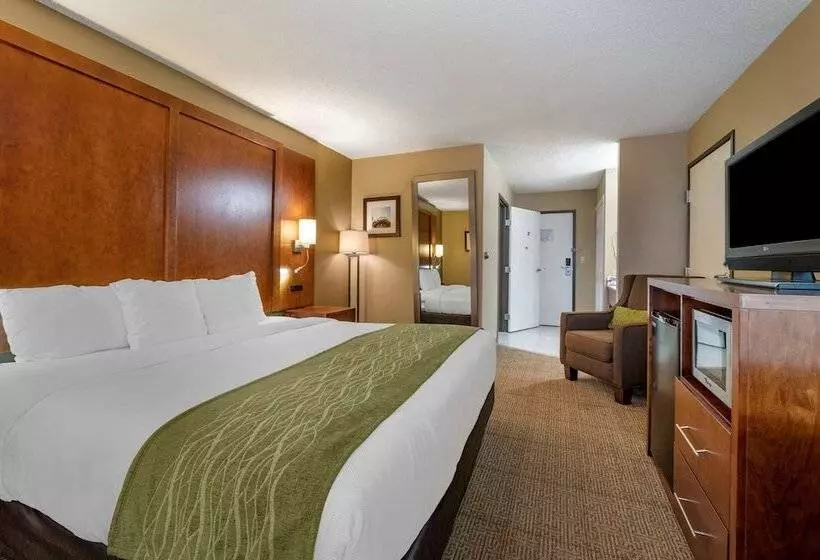 Отель Comfort Inn Romeoville Bolingbrook