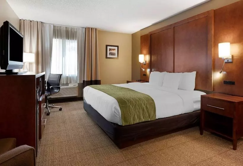 Отель Comfort Inn Romeoville Bolingbrook