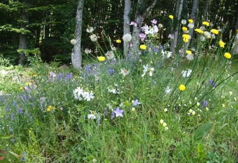 Hotelli Kraftquelle Waldhäuser