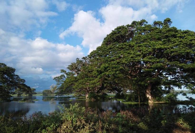 Pensão Tissa Rainbow Guest & Yala