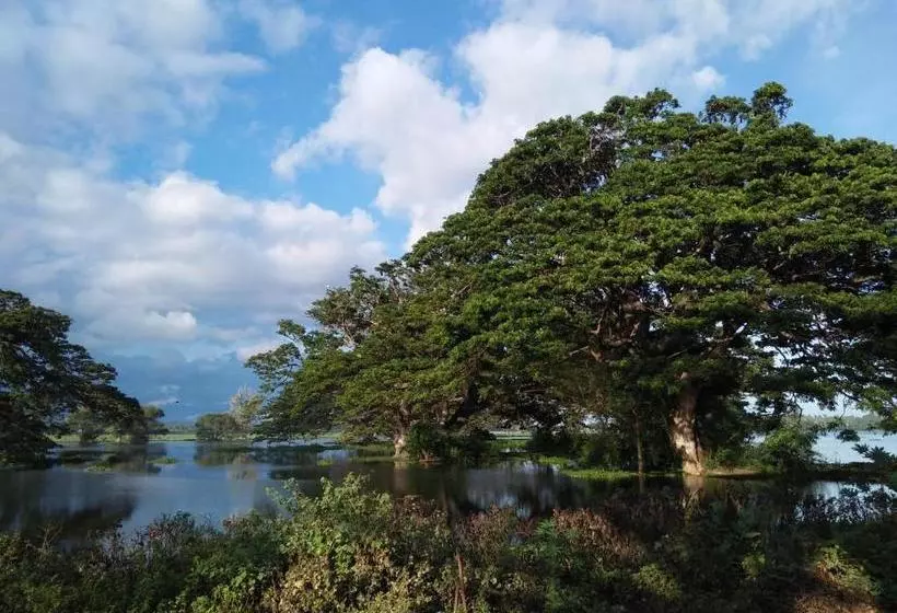 Majatalo Tissa Rainbow Guest & Yala