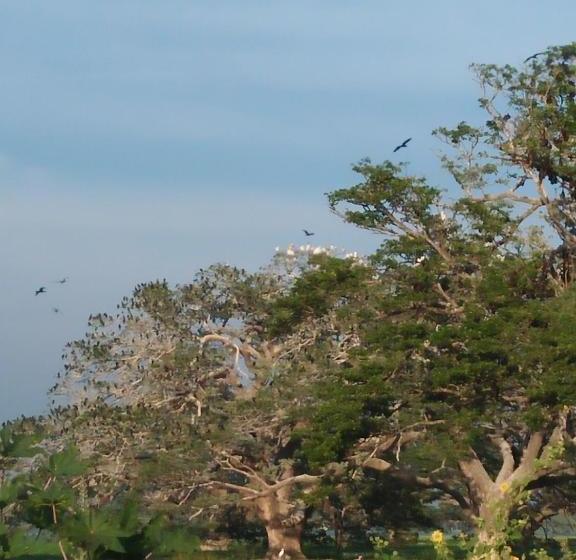 Pensão Tissa Rainbow Guest & Yala