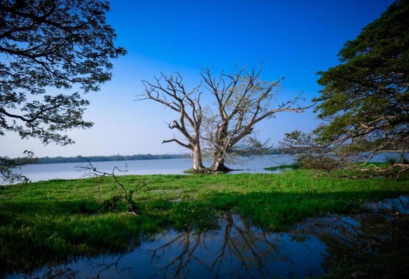 Pensão Tissa Rainbow Guest & Yala