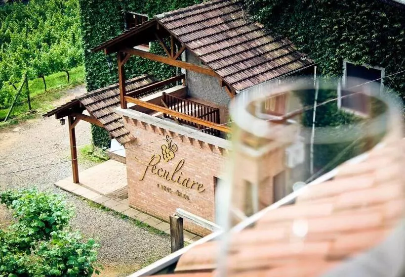پانسیون Vinicola E Pousada Peculiare