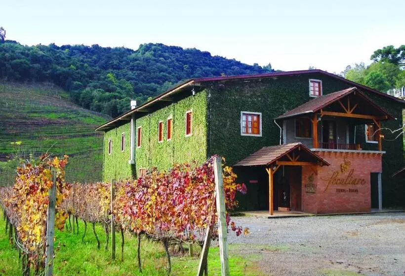 پانسیون Vinicola E Pousada Peculiare