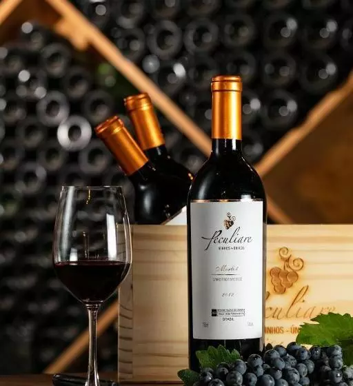 پانسیون Vinicola E Pousada Peculiare