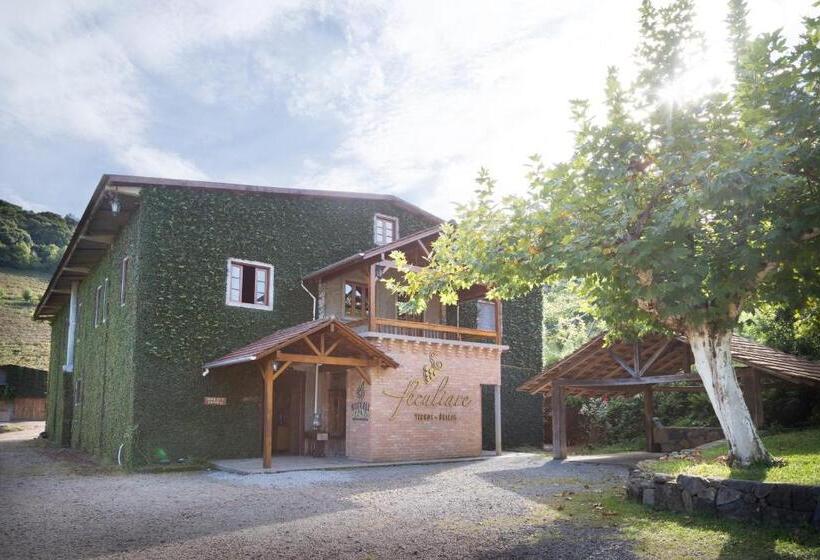 Pension Vinicola E Pousada Peculiare