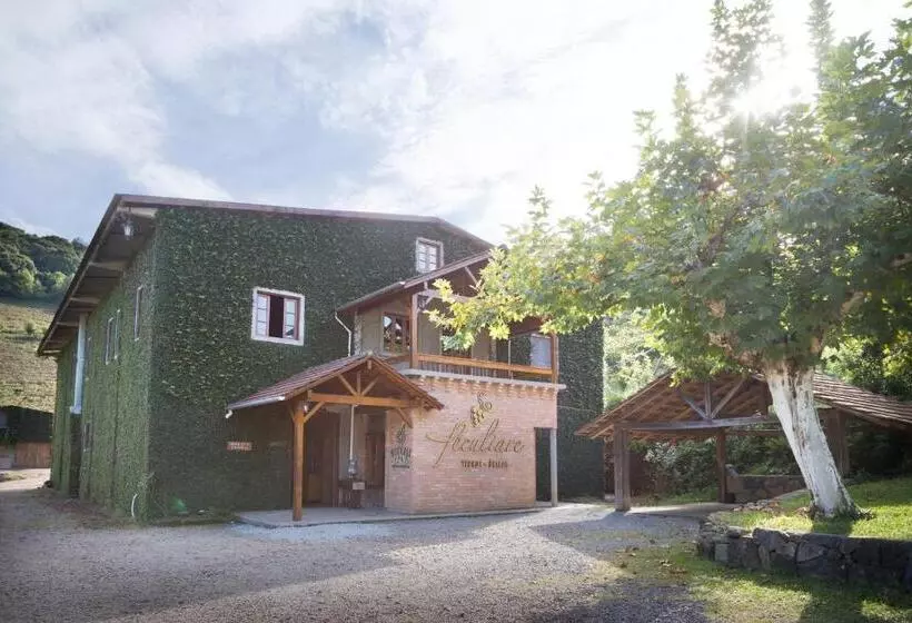 پانسیون Vinicola E Pousada Peculiare