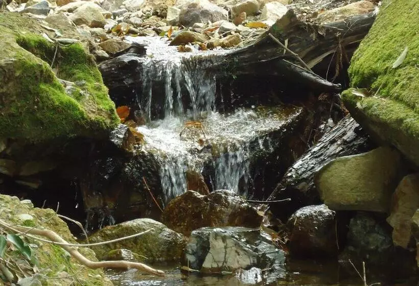 ホテル Arima Koukaen