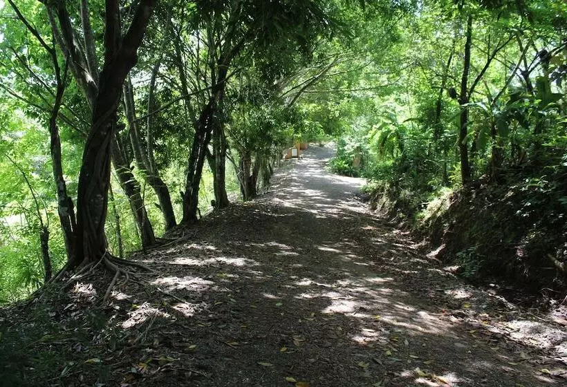 Hotelli Nature Lodge Finca Los Caballos