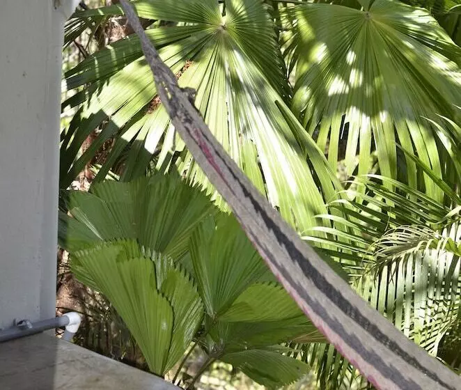 Hotelli Nature Lodge Finca Los Caballos