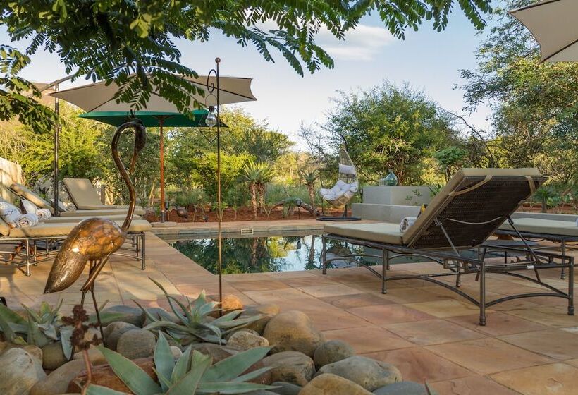 בית מלון כפרי Ukuthula Bush Lodge