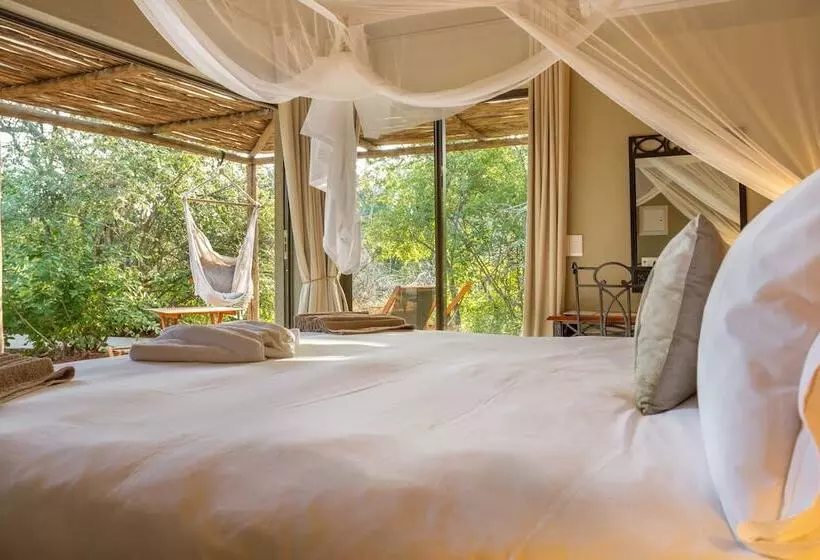 ホテル Ukuthula Bush Lodge