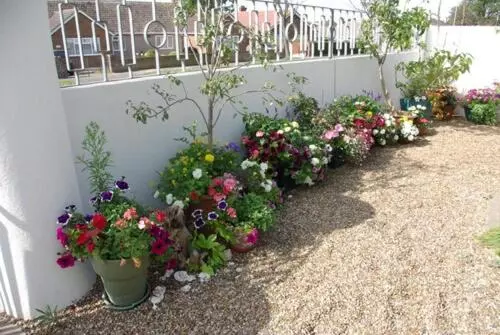 Twentieth Century B&b