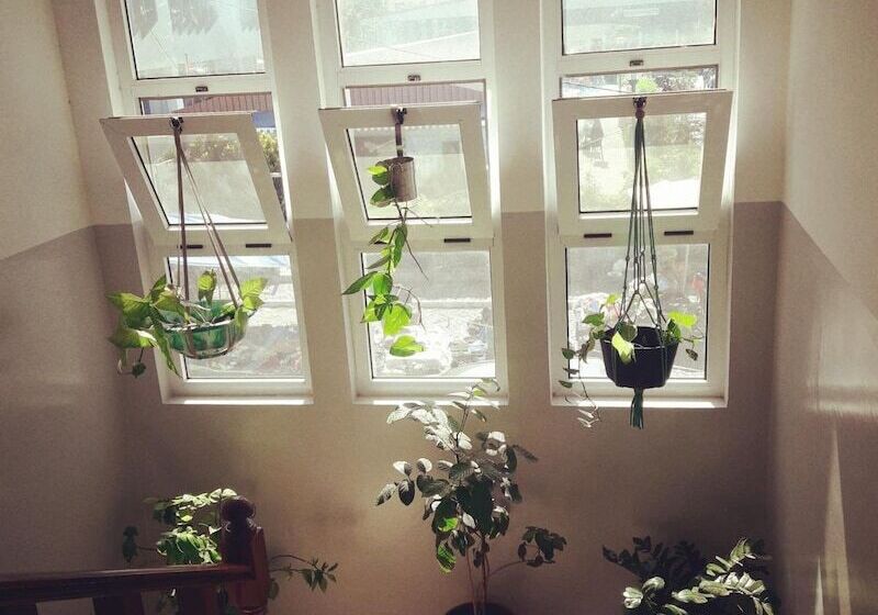 Auberge Hôtelière Meeting Point Sociedade Unipessoal, Lda