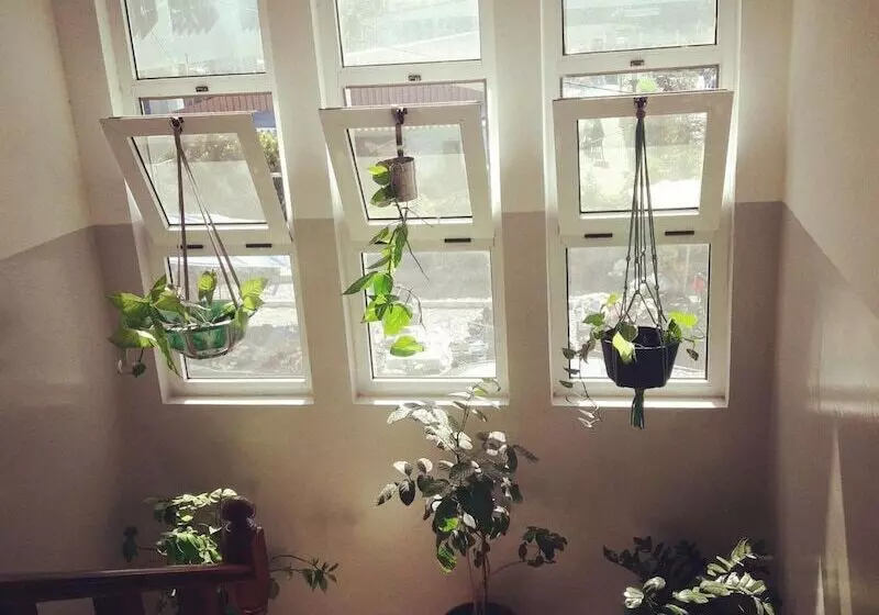 هاستل Meeting Point Sociedade Unipessoal, Lda