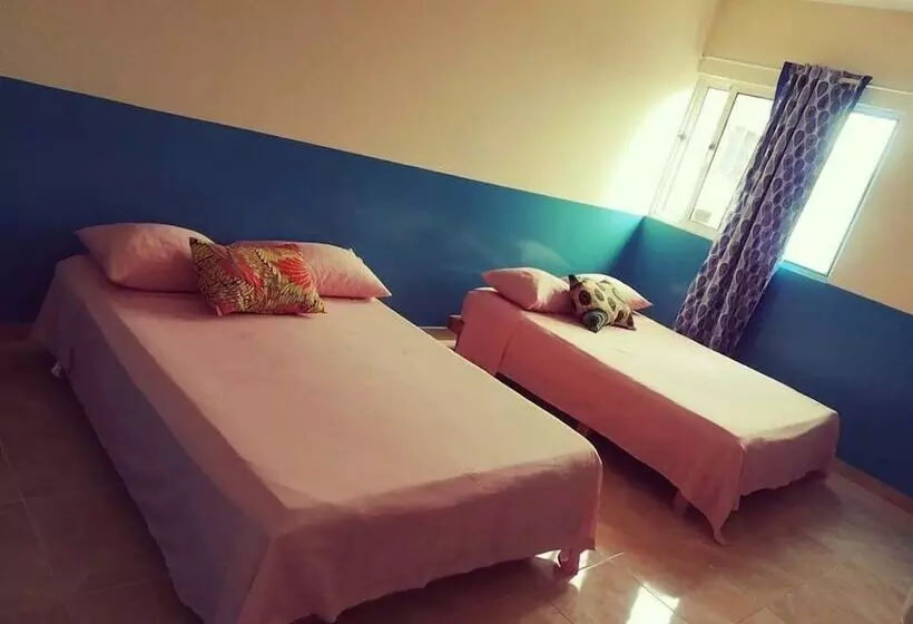 هاستل Meeting Point Sociedade Unipessoal, Lda