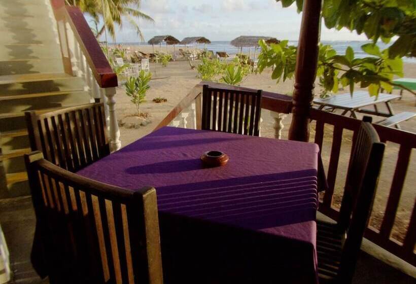 호텔 Summer Garden