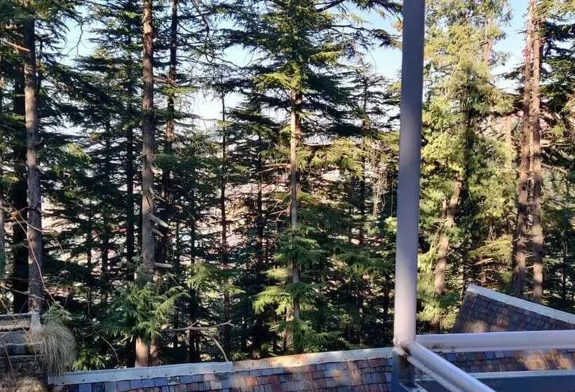 Shimla British Resort