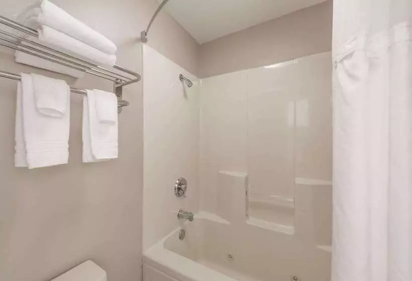 酒店 Super 8 By Wyndham Alexander City