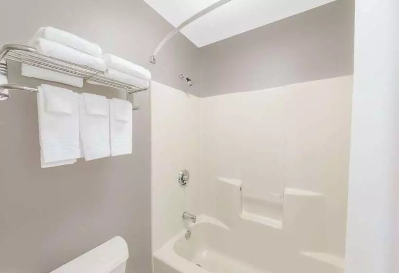 酒店 Super 8 By Wyndham Alexander City