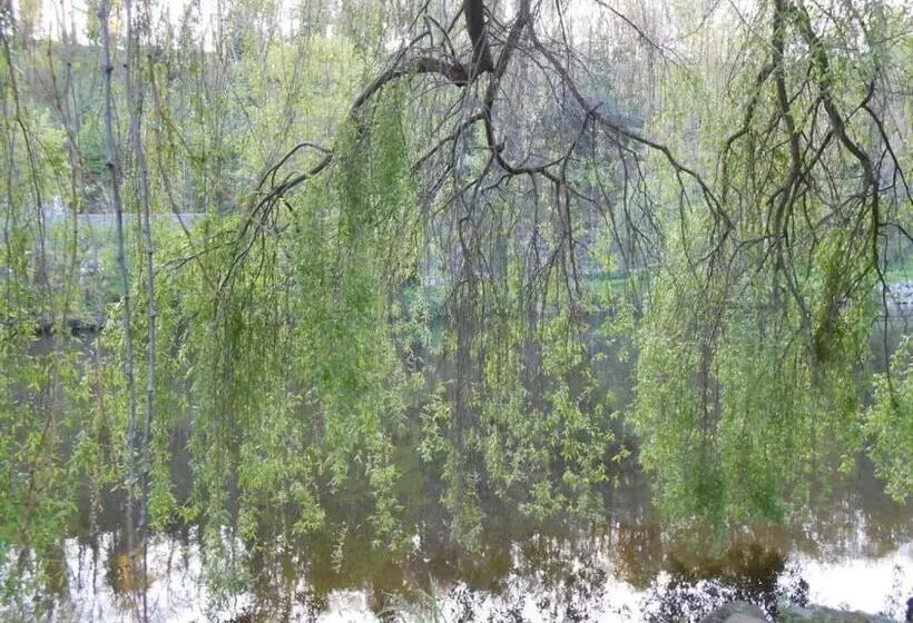 Aamiaismajoitus (B&B) Chambres D Hôte Chez Alice