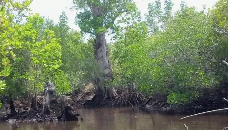 Aamiaismajoitus (B&B) Berakit Bay Resort