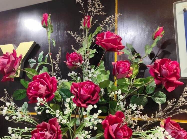 Luxury Hotel Hai Phong