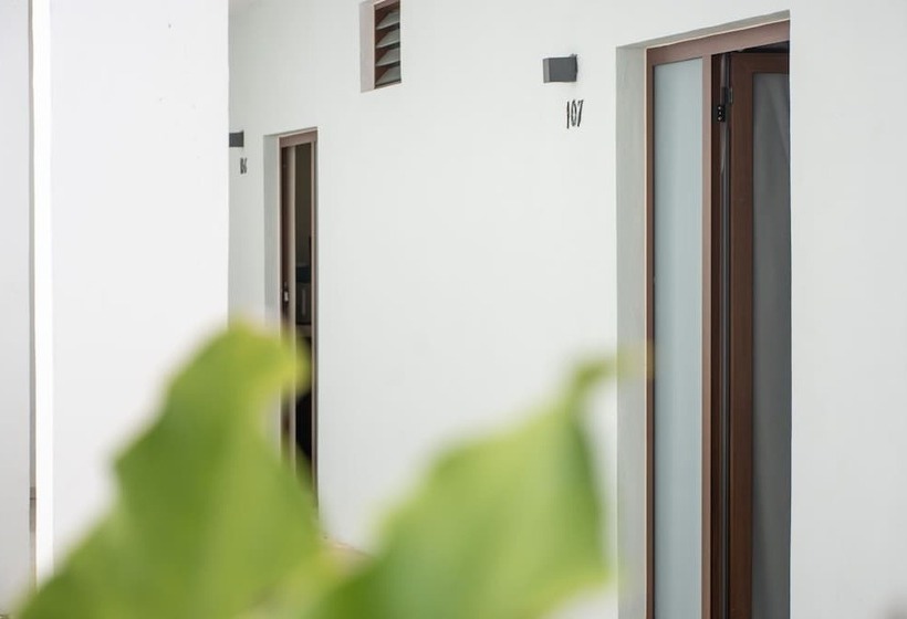 فندق Paso Del Mar Playa Del Carmen