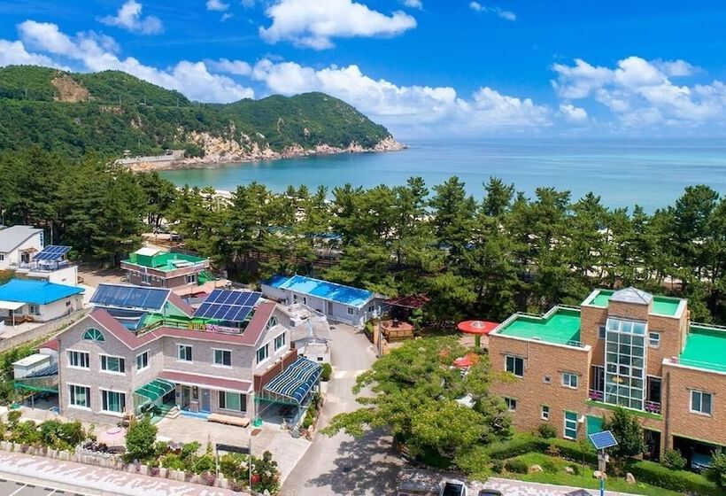 Samcheok Sol Beach Pension
