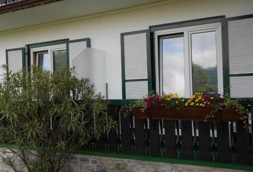 Pension Gierlinger