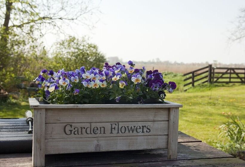 酒店 Restinn Aartswoud