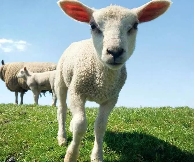 Hotelli Restinn Aartswoud