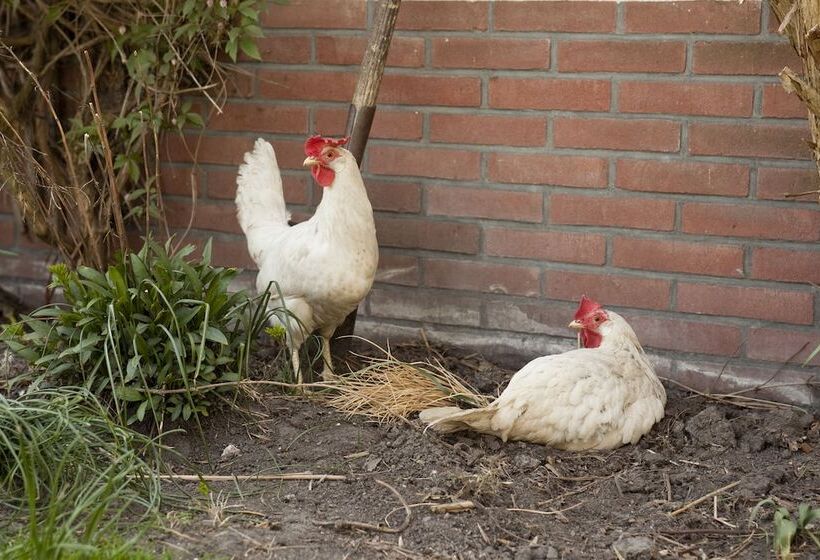 酒店 Restinn Aartswoud