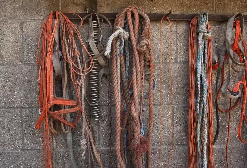 Hotelli Restinn Aartswoud