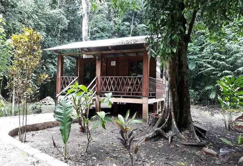 ホテル Cabaña Tu´ur