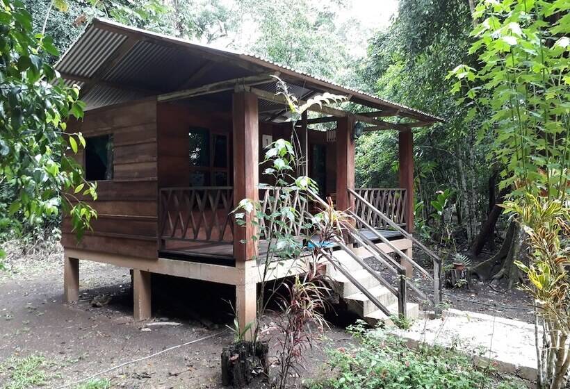 ホテル Cabaña Tu´ur